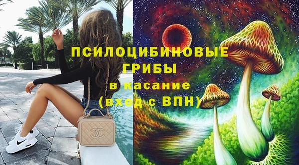 герыч Арсеньев